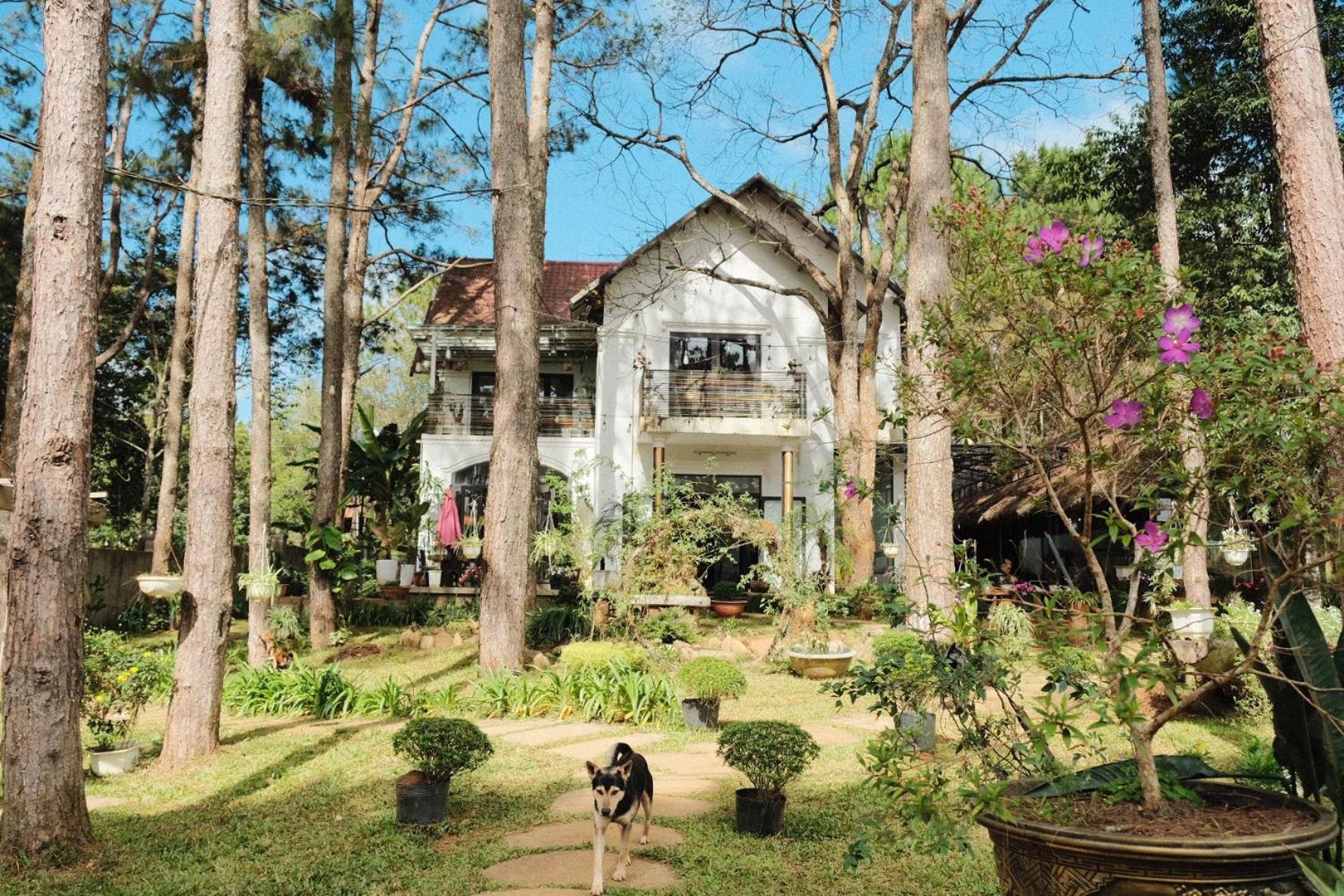 Kon Von Kla S'Nghe Homestay Mang Den מראה חיצוני תמונה