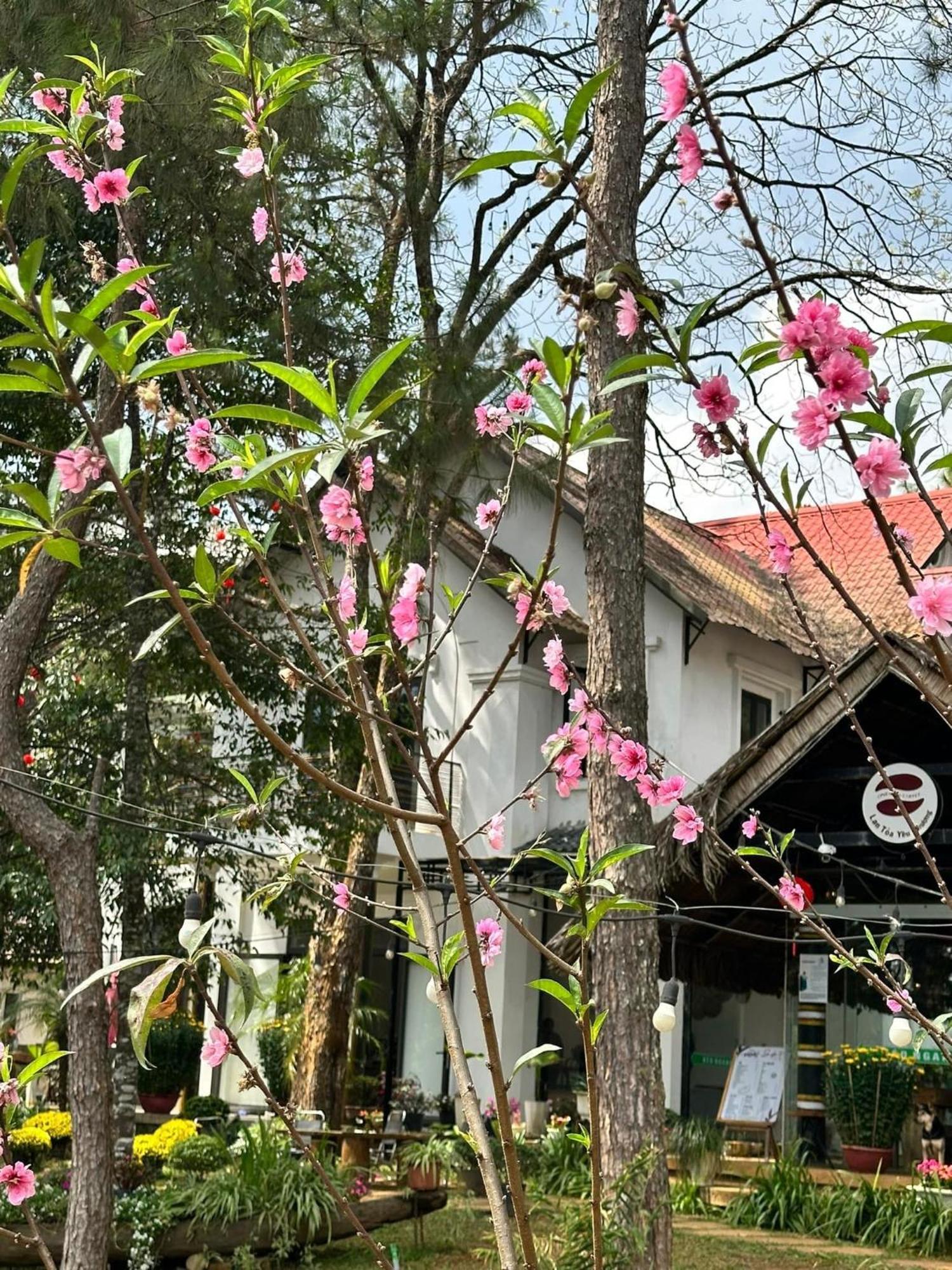 Kon Von Kla S'Nghe Homestay Mang Den מראה חיצוני תמונה