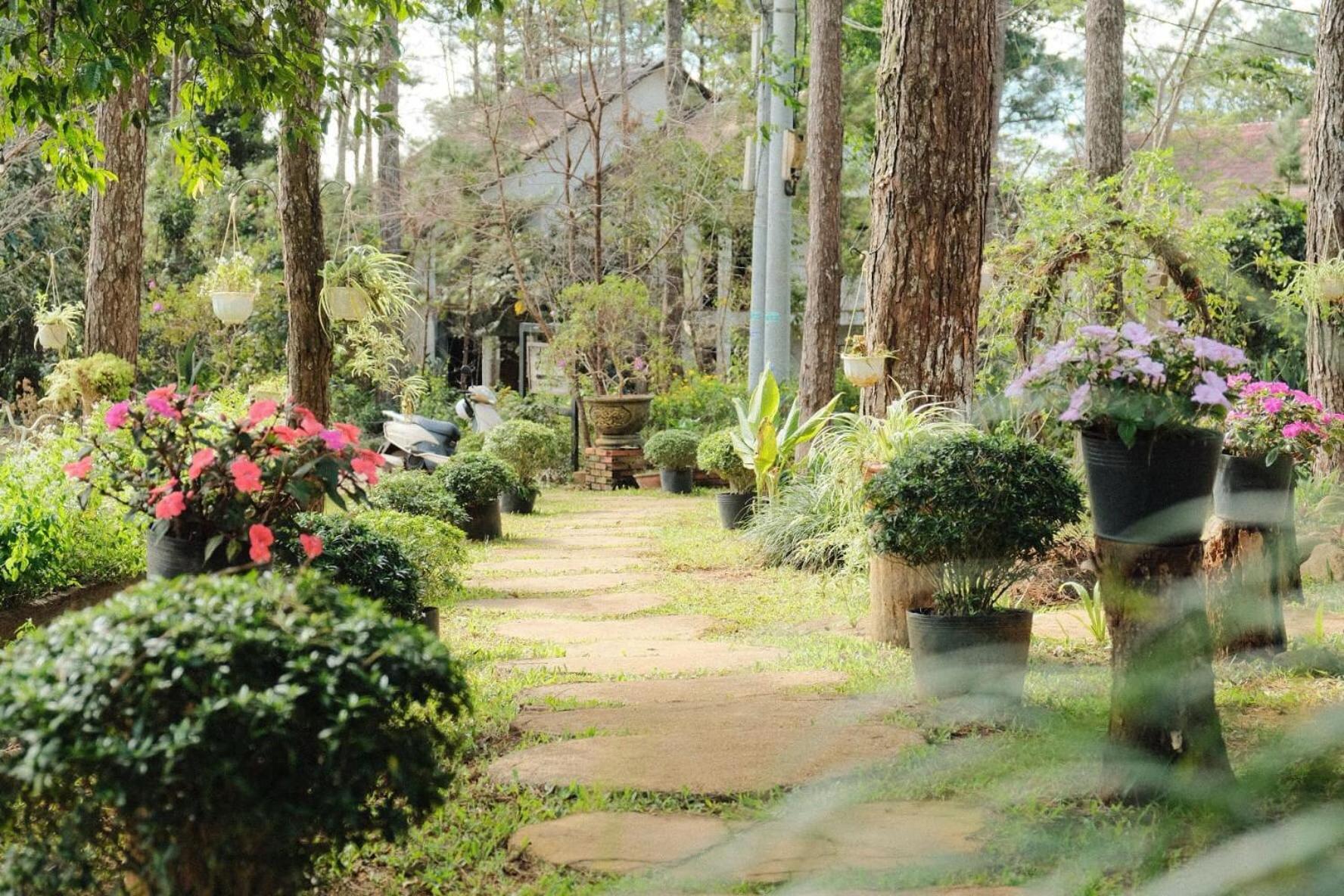 Kon Von Kla S'Nghe Homestay Mang Den מראה חיצוני תמונה